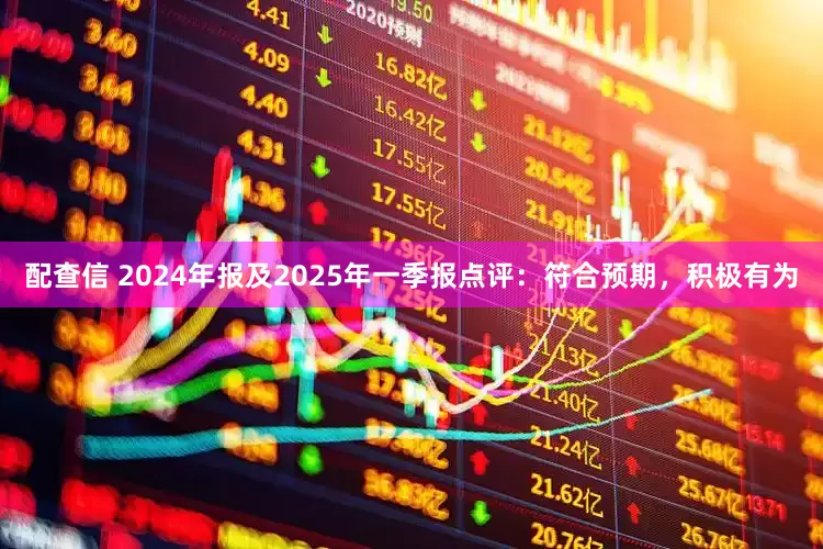 配查信 2024年报及2025年一季报点评：符合预期，积极有为
