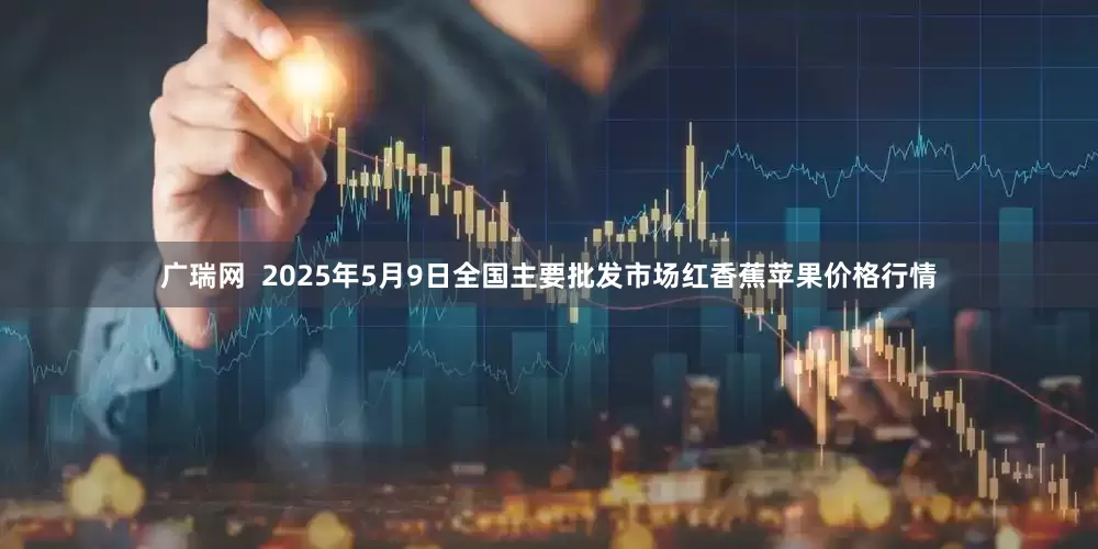 广瑞网  2025年5月9日全国主要批发市场红香蕉苹果价格行情
